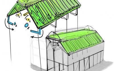 Alage-Roof-Barn